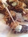 Luxor Steakhouse Bites
